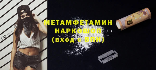 ГАЛЛЮЦИНОГЕННЫЕ ГРИБЫ Ельня